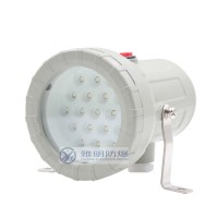 LED防爆视孔灯 24V220V反应釜防爆灯