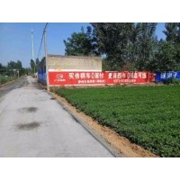亳州墙体广告材料 亳州联通墙体广告 亳州手刷墙体广告