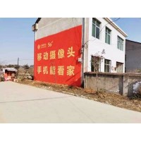 合肥巢湖农村墙体广告公司 巢湖墙画手绘广告