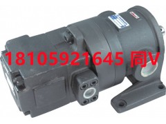 福南油泵GH2-40C-LR化工泵GH2-40C-LR图4