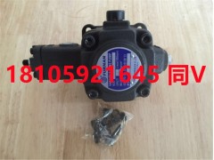 150T-94-L-R-PA-11福南油泵图1