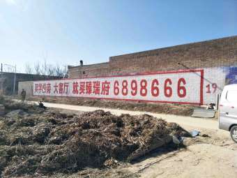 地产澄县地区（手绘）墙体广告精选照片近景3