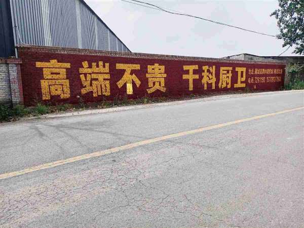 千科厨卫渭南蒲城地区（手绘）墙体广告精选照片近景2