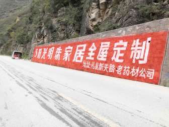 阳光明珠家居(手绘)墙体广告精选照片近景4