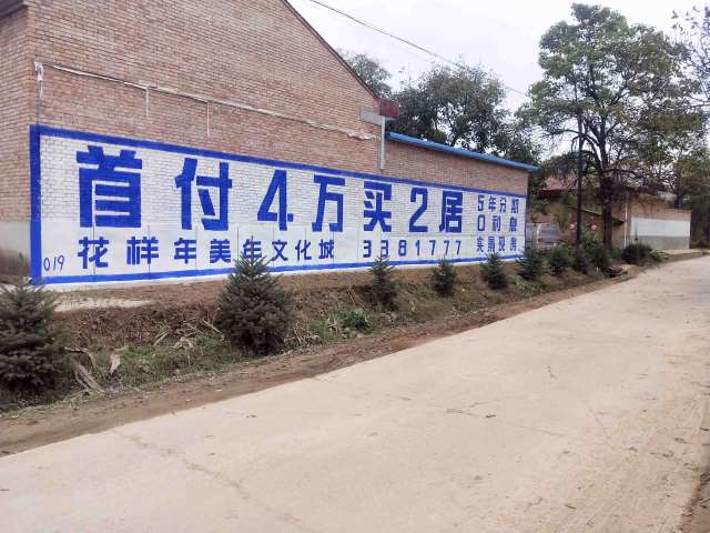 花样年美泾川地区(手绘)墙体广告精选照片远景2