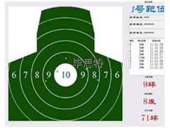 自动报靶器系统室内实弓单设击场设备厂家图1