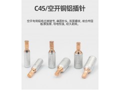 C45铜铝插针DZ47针式头接线端子 铜铝接线柱GTLC16图5
