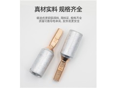 广卓GTLA-10/16/25/35电表专用铜铝插针 端子图4