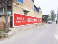 亳州墙体广告,亳州房地产乡镇刷墙广告图1