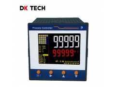 DK2900系列双通讯过程控制器图1