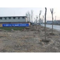 河南鄢陵墙体广告公司 手写墙体广告 刷墙写广告