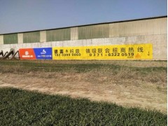 河南柘城墙体广告公司 墙体喷绘广告 刷农村广告图2