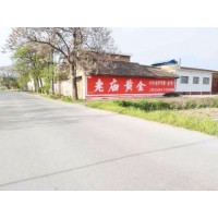 河南商水墙体广告公司 墙面喷绘广告 墙体写大字广告