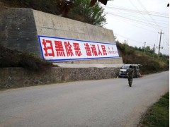 沧州刷墙广告,沧州农村文化墙标语图1