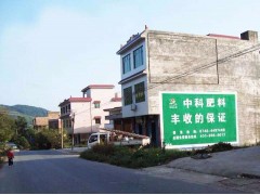 廊坊刷墙广告,廊坊墙体写大字图1