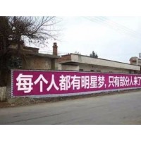 驻马店泌阳保险墙体刷字广告 做墙体广告的公司 墙体刷字广告