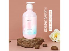 山茶沐浴露 美容护肤洗护产品自有商标委托生产皇菴堂图1