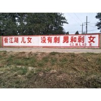 高邮墙上画画 白墙美化 新农村墙面宣传画
