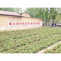 阜阳防水墙体标语  珠宝刷墙广告助力品牌声誉增长
