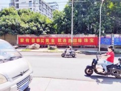 广西河池市大化县户外墙体喷绘广告勾勒品牌魅力图1