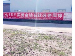 广西玉林市兴业县机械墙体广告农村广告从未如此简单图1