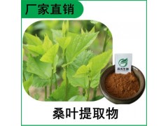 森冉生物 桑叶提取物 蚕叶提取物 植物提取原料粉图1