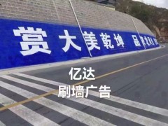 安徽淮南寿县手绘墙体广告服务哪家做的好图1