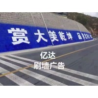 广东深圳市坪山区党建墙体广告设计