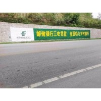 广东深圳墙面彩绘打开农村市场好帮手