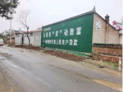 湖南永州墙体广告 郴州有3d墙体彩绘机图1