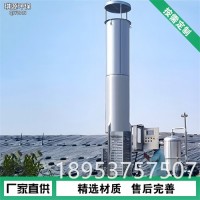 立式沼气火炬 不锈钢沼气火炬 琪源 废气燃烧器 生物质汽化炉