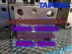 泰丰生产TLFA016DBWT-7X控制盖板图1