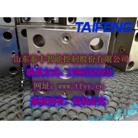泰丰生产TLFA016DBWT-7X控制盖板