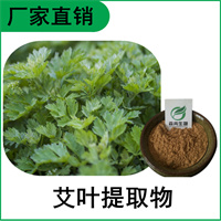 森冉生物 艾叶提取物 艾蒿提取物 植物提取原料粉