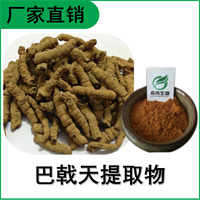 森冉生物 巴戟天提取物 三角藤提取物 植物提取原料粉