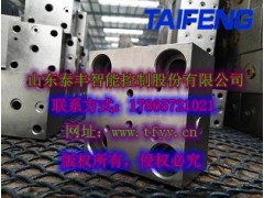 厂家直销泰丰TLFA025DBU-7X压力盖板图1