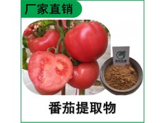 森冉生物 番茄提取物 西红柿提取物 番茄红素 多种规格图1