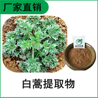 森冉生物 白蒿提取物 茵陈蒿提取物 植物提取原料粉