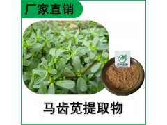 森冉生物 马齿苋提取物 马齿苋浸膏粉 瓜子菜提取物图1