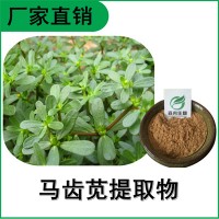 森冉生物 马齿苋提取物 马齿苋浸膏粉 瓜子菜提取物