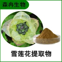 森冉生物 雪莲花提取物 大苞雪莲提取物 比例提取原料粉