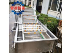 果蔬气泡清洗机 红薯土豆清洗设备 大姜清洗机生产厂家