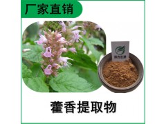 森冉生物 藿香提取物 大叶薄荷提取物 全水溶原料粉图1