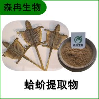 森冉生物 蛤蚧提取物 大壁虎提取物 动物提取原料粉