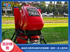 灾情空中侦查勘验无人直升机-具有大载荷、长航时的特性