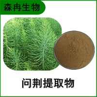 森冉生物 问荆提取物 节节草提取物 植物提取原料粉