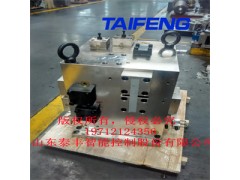 中国重型配套厂家专业制造YN32-100FXCV标准100吨系统 泰丰原装