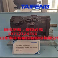 泰丰生产厂家制造TFA10VSO28DFLR31柱塞泵