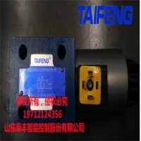 削饼机阀组电磁阀 4WE10Y-50/AG24NZ5L厂家批发零售 泰丰正品