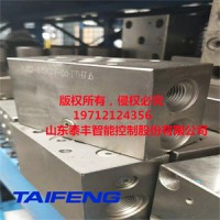 山东泰丰智能液压阀配件TLFA40DBRA-7X单项调压盖板